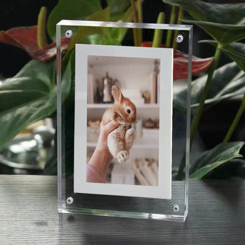 Revive Memories with Lifelike Images