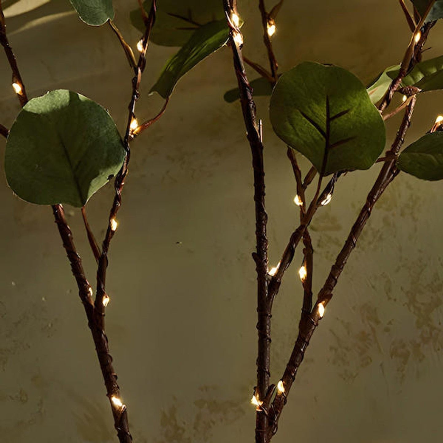 Fairy Light-Embellished Olive Branch