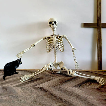 Adjustable Human Skeleton 90–165 cm — Lifelike Decoration for Halloween and Horror Occasions
