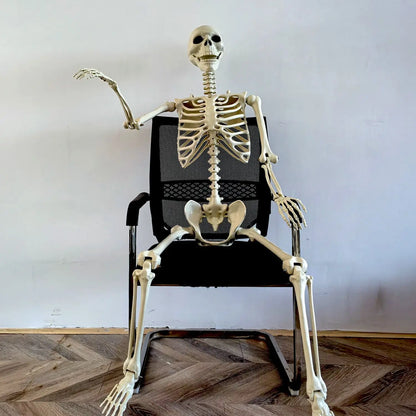 Adjustable Human Skeleton 90–165 cm — Lifelike Decoration for Halloween and Horror Occasions