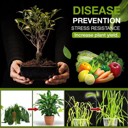 Garden Soil Enhancer