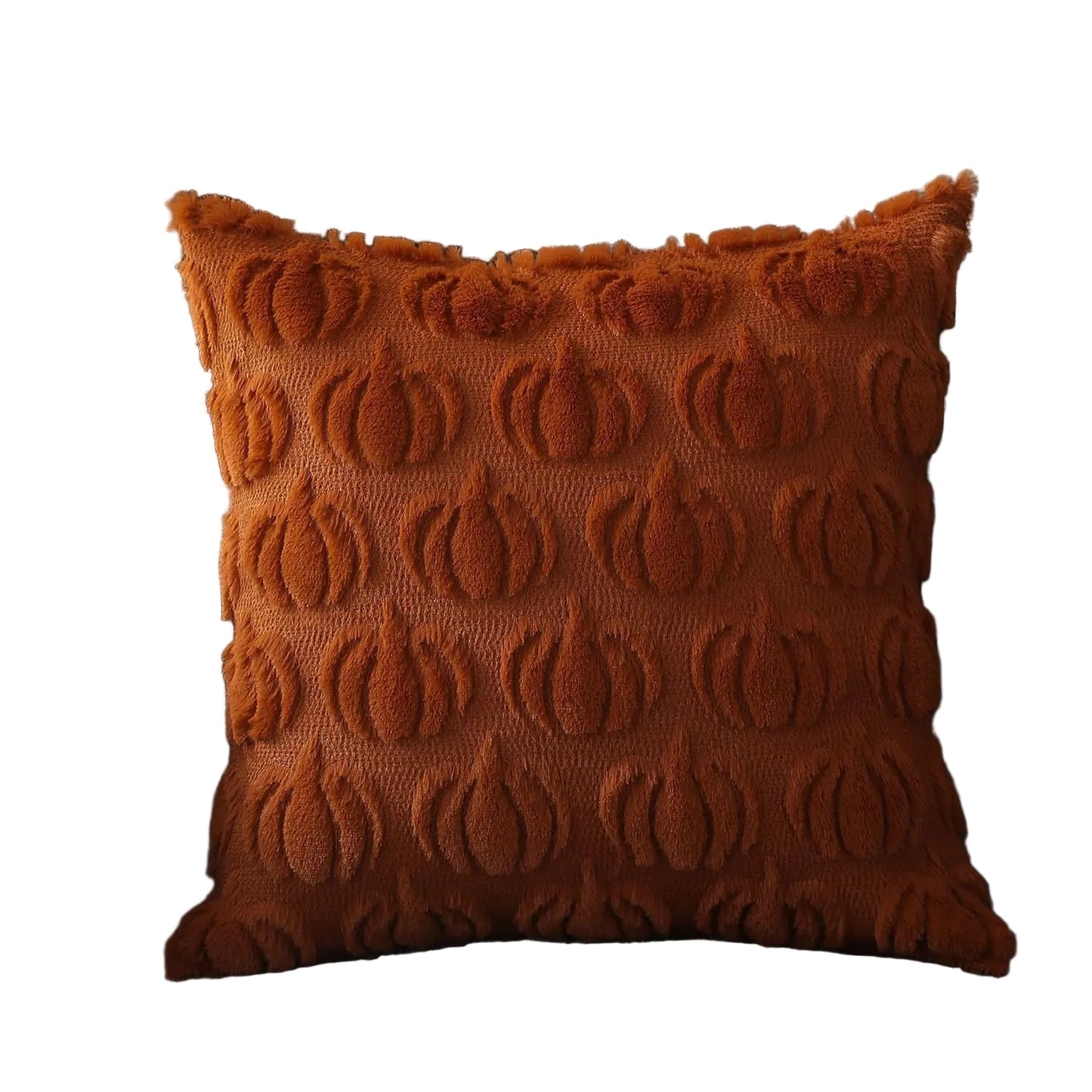 Luxurious Soft Velvet Decorative Pillow