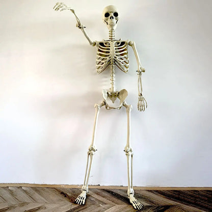 Adjustable Human Skeleton 90–165 cm — Lifelike Decoration for Halloween and Horror Occasions