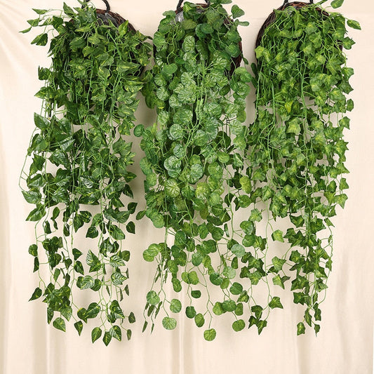 Ivy Green Wall Art