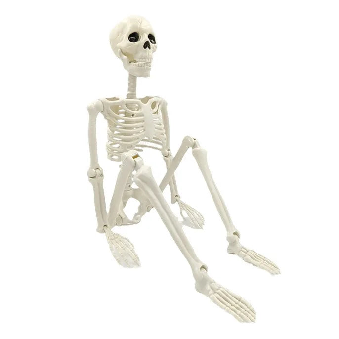 Adjustable Human Skeleton 90–165 cm — Lifelike Decoration for Halloween and Horror Occasions