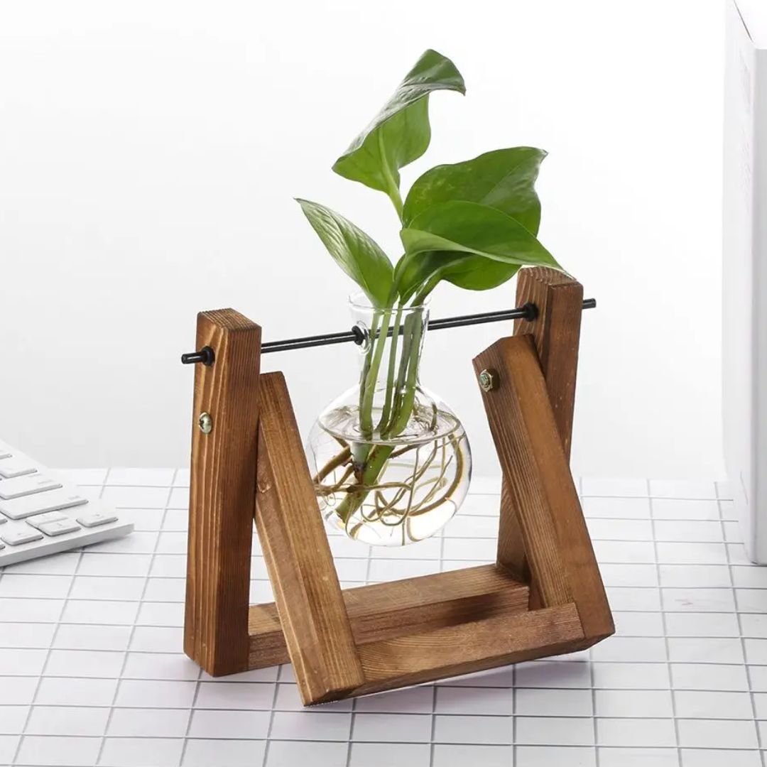 Contemporary Hydroponic Planter Featuring a Wooden Base