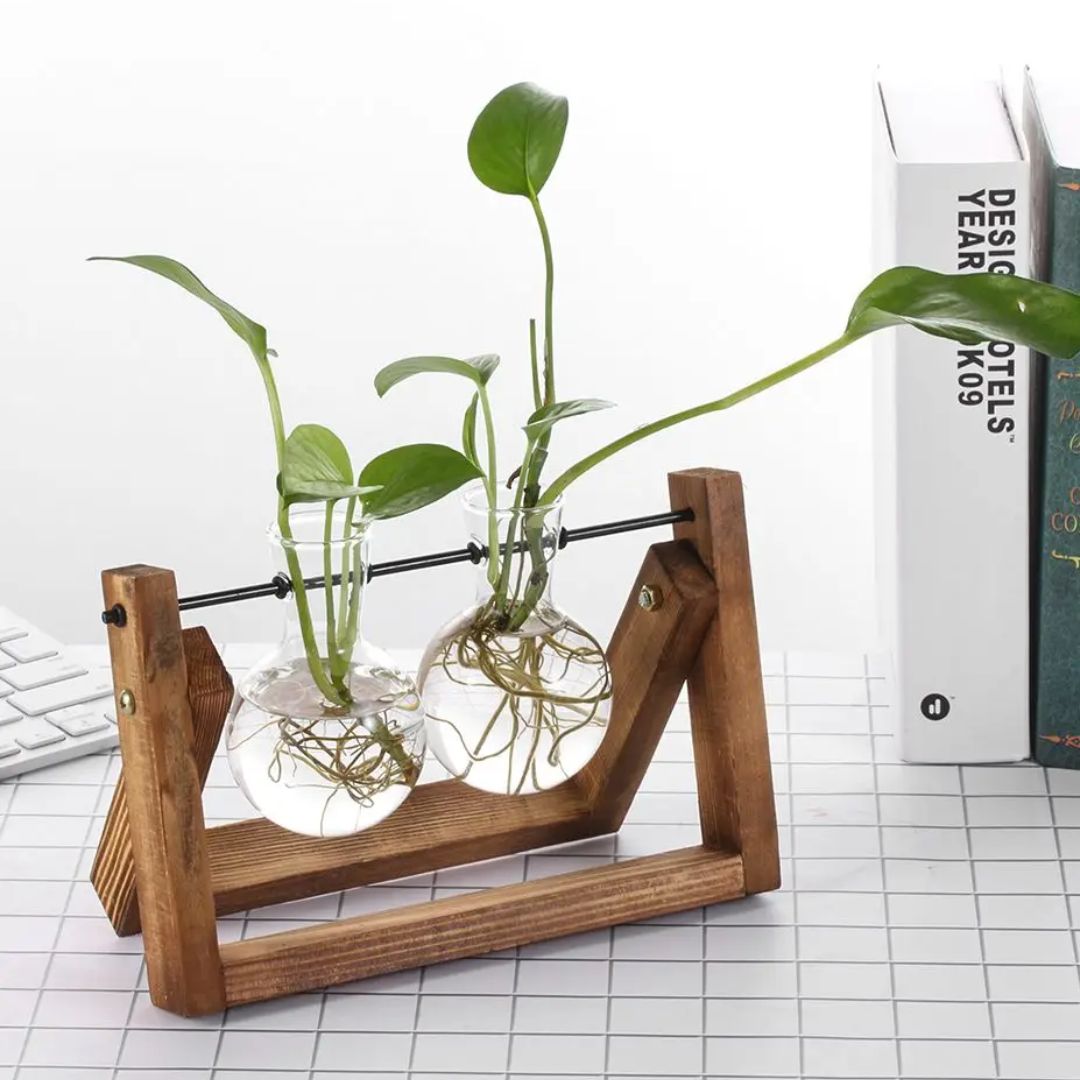 Contemporary Hydroponic Planter Featuring a Wooden Base