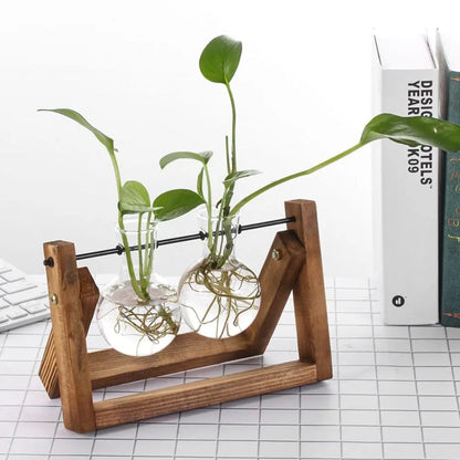 Contemporary Hydroponic Planter Featuring a Wooden Base