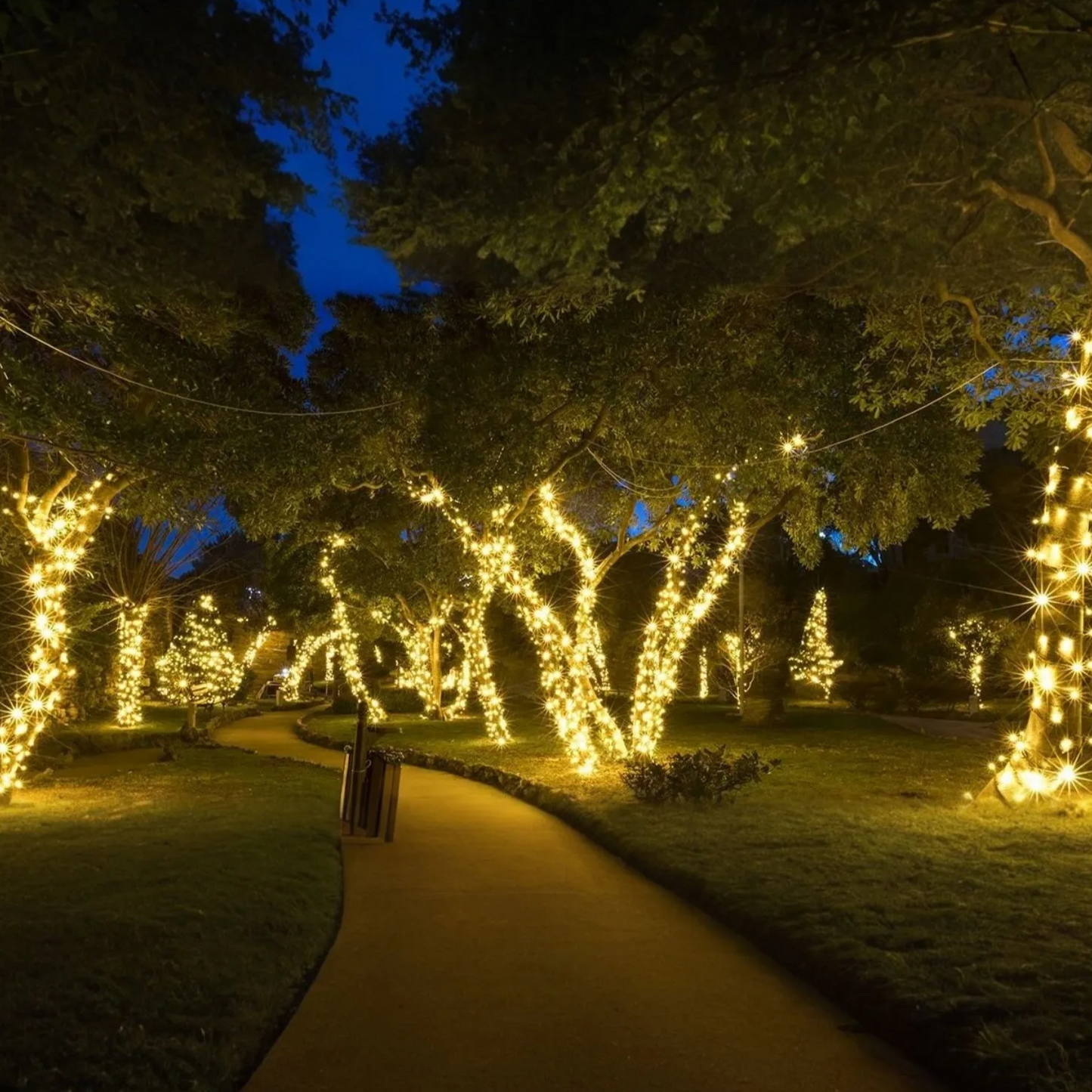 SoliGlow Solar Mood Lighting Collection