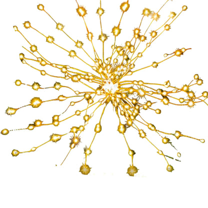 LumiGarden – Eco-Friendly Solar LED Outdoor Lighting