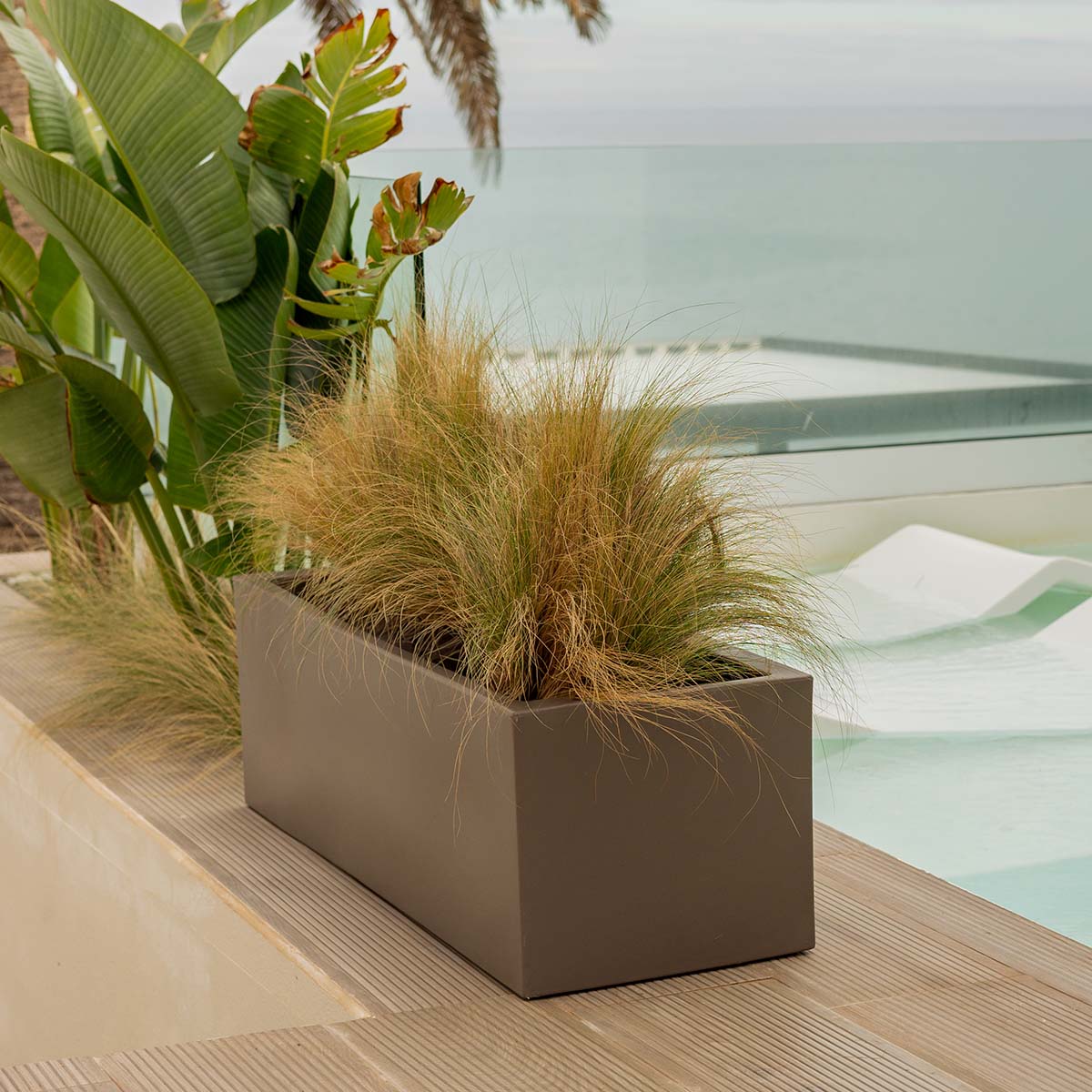Chic Planter to Brighten Up Your Space