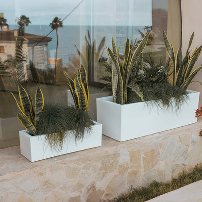 Chic Planter to Brighten Up Your Space