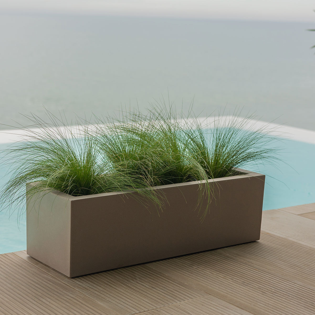 Chic Planter to Brighten Up Your Space