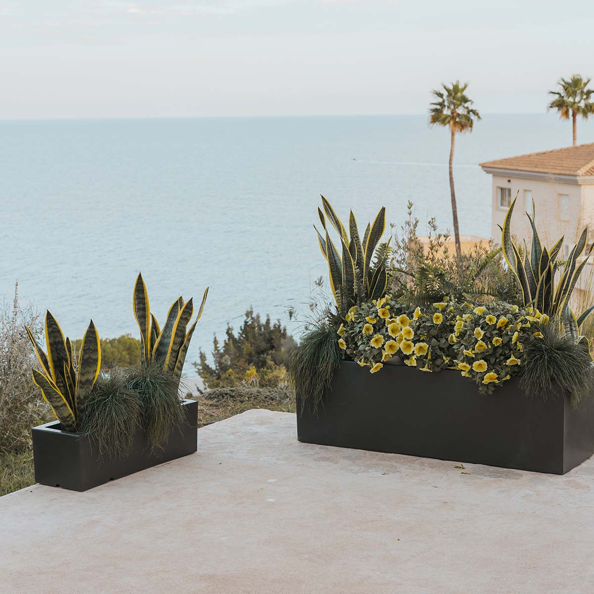 Chic Planter to Brighten Up Your Space