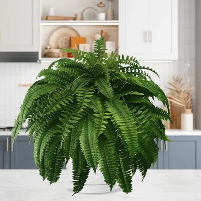 Buy One, Get One Free | Realistic UV-Resistant Artificial Boston Fern